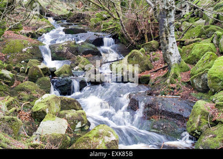 Wasserfall Wicklow Berge, Irland, Europa Stockfoto