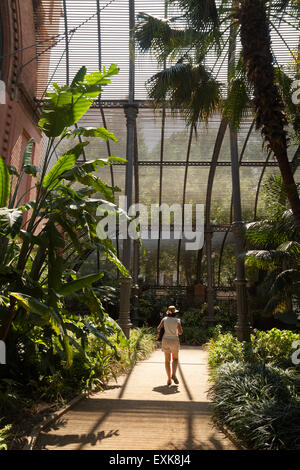 Eine Frau in das Umbracle (Gewächshaus), Parc De La Ciutadella (Ciutadella Park), Barcelona, Spanien-Europa Stockfoto