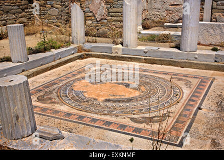 Beeindruckenden Mosaiken im "Haus der Delphine" in der archäologischen Stätte von der "Heilige" Insel Delos. Kykladen, Griechenland. Stockfoto