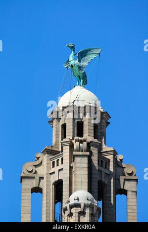 Die Leber Vogel auf The Royal Liver Building, Liverpool, Merseyside, England, UK, Westeuropa. Stockfoto