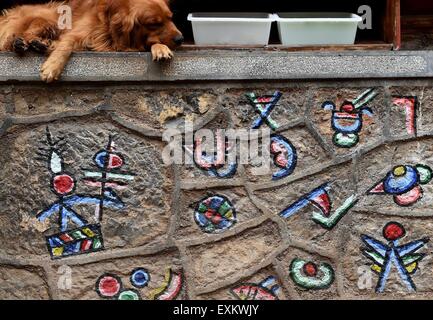 (150715)--LIJIANG, 15. Juli 2015 (Xinhua)--ein Hund liegt vor einem Geschäft in Shuhe von Lijiang alte Stadt, der südwestlichen chinesischen Provinz Yunnan, 14. Juli 2015. Als Teil der antiken Stadt Lijiang, die als das Welt-Kulturerbe der UNESCO im Jahr 1997 aufgeführt wurde, zieht Shuhe große Menge an Besuchern. (Xinhua/Lin Yiguang) (Zwx) Stockfoto