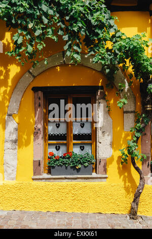 Close-up-Fenster, gelbe Haus, Riquewihr, Elsass, Frankreich Stockfoto