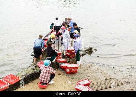 Fiish Markt am Strand in der Provinz Quang Binh, Vietnam am 10. März 2014 Stockfoto