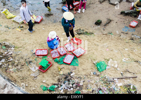 Fiish Markt am Strand in der Provinz Quang Binh, Vietnam am 10. März 2014 Stockfoto