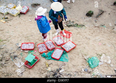 Fiish Markt am Strand in der Provinz Quang Binh, Vietnam am 10. März 2014 Stockfoto