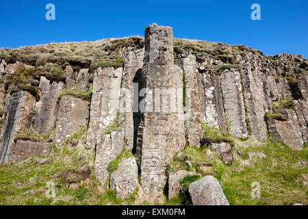 Dverghamrar Zwerg Felsen vulkanischen Basaltsäulen Island Stockfoto