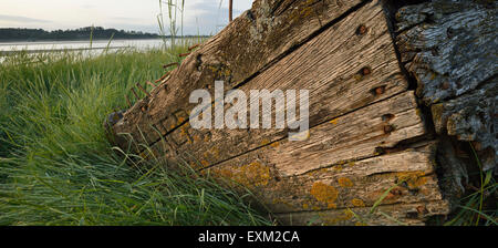 Reste der Severn Collier, Purton Hulks Stockfoto