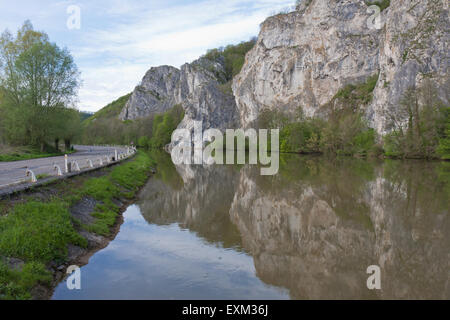 Maas in Belgien Ardennen Stockfoto