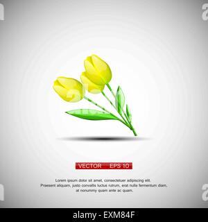 Drei gelbe Vektor Blumen Tulpen isoliert auf weißem Hintergrund Stock Vektor