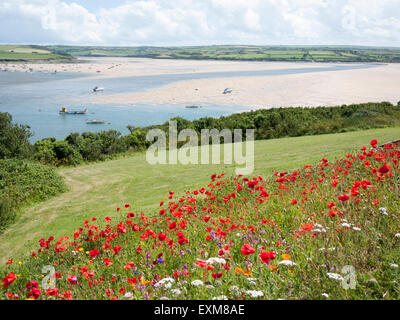 Wildblumen und Mohn wächst in einem Feld mit Blick auf die Mündung des Flusses Camel in der Nähe von Padstow Cornwall UK Stockfoto