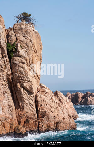 La Conca, Sant Feliu de Guixols. Stockfoto