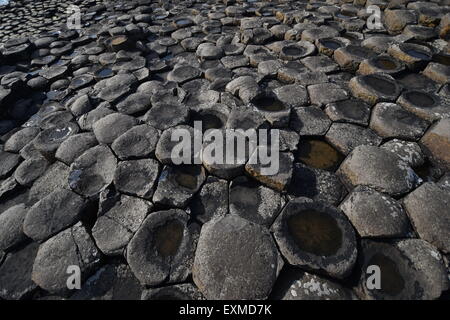 Giant es Causeway, Nordirland Stockfoto