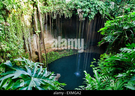 Ik Kil Cenote auf der Halbinsel Yucatan, Mexiko. Stockfoto