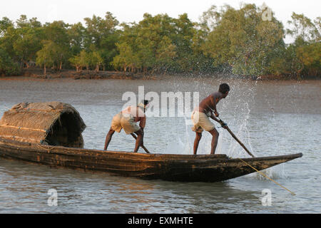 Fischer schlagen Holzflöße im Wasser; Sundarban National Park; Sundarbans; Kalkutta; Kolkata; Westbengalen; Indien; Asien Stockfoto