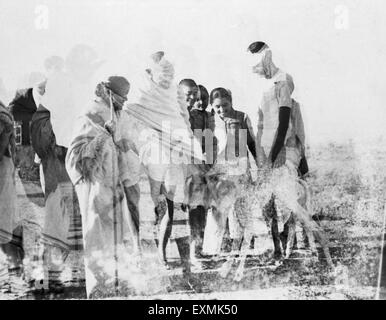 Abha Gandhi; stehen neben Mahatma Gandhi; ein junges Kalb Sevagram Ashram streicheln; 1941; Balwant Singh keine Herr Stockfoto