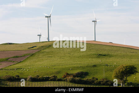 Schafe weiden unter Mynydd Gorddu E-On wind Farm Hochland der Landschaft in der Nähe von Tal-y-Bont Dorf in Ceredigion, Mid Wales. Stockfoto