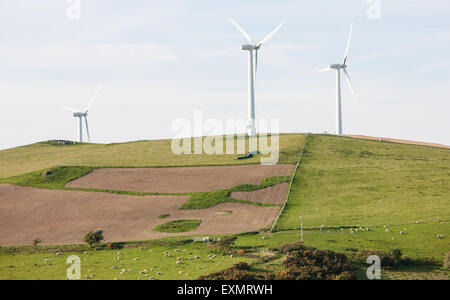 Schafe weiden unter Mynydd Gorddu E-On wind Farm Hochland der Landschaft in der Nähe von Tal-y-Bont Dorf in Ceredigion, Mid Wales. Stockfoto