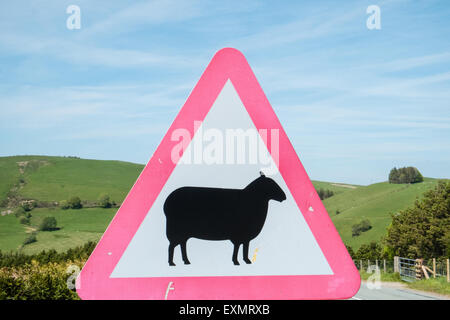 Achtung Gefahr, Schilder, Schafe auf der Straße, Biker Fahrt sicher, Bi-Lingual, Straße, Zeichen, Road, voraus in ruhigen abgelegenen Lage in Powys, Wales Stockfoto