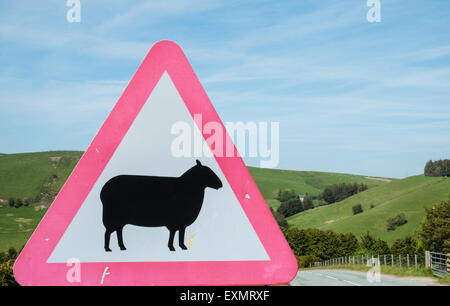 Achtung Gefahr, Schilder, Schafe auf der Straße, Biker Fahrt sicher, Bi-Lingual, Straße, Zeichen, Road, voraus in ruhigen abgelegenen Lage in Powys, Wales Stockfoto