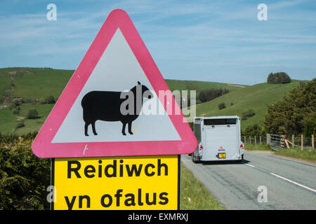 Achtung Gefahr, Schilder, Schafe auf der Straße, Biker Fahrt sicher, Bi-Lingual, Straße, Zeichen, Road, voraus in ruhigen abgelegenen Lage in Powys, Wales Stockfoto