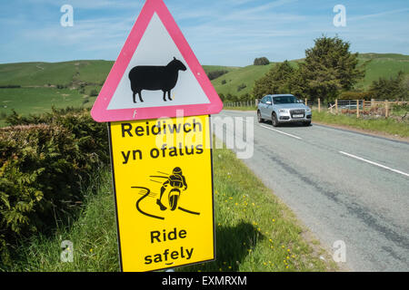 Achtung Gefahr, Schilder, Schafe auf der Straße, Biker Fahrt sicher, Bi-Lingual, Straße, Zeichen, Road, voraus in ruhigen abgelegenen Lage in Powys, Wales Stockfoto