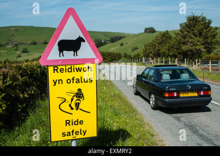 Achtung Gefahr, Schilder, Schafe auf der Straße, Biker Fahrt sicher, Bi-Lingual, Straße, Zeichen, Road, voraus in ruhigen abgelegenen Lage in Powys, Wales Stockfoto