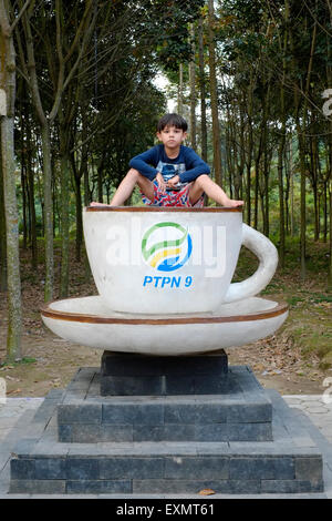 kleiner Junge sitzt im riesigen Teetasse an einer Raststätte vor einem Gummibaum-Plantagen naher solo-Java Indonesien Stockfoto