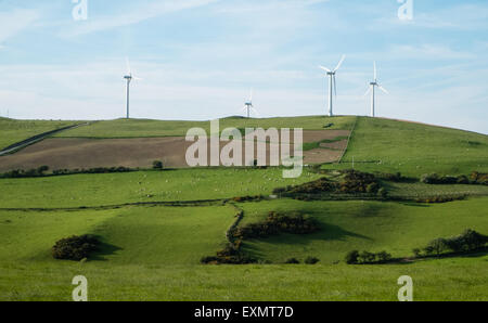 Schafe weiden unter Mynydd Gorddu E-On wind Farm Hochland der Landschaft in der Nähe von Tal-y-Bont Dorf in Ceredigion, Mid Wales. Stockfoto