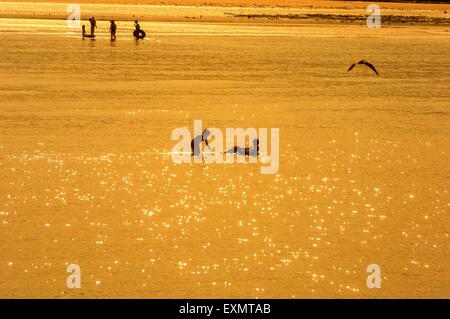 Urlauber am Strand und Meer in Margate spielen. Kent UK Stockfoto