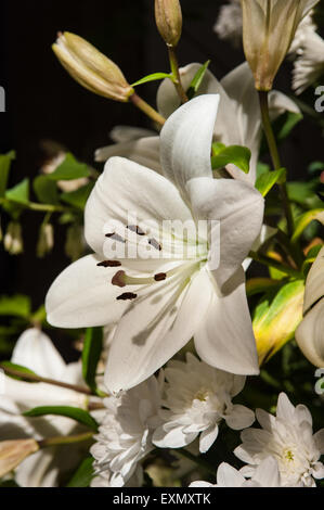 Allerheiligenkirche, Kings Cliffe, Northamptonshire. Blumen in der Kirche. Weiße Lilien für eine Hochzeit. Stockfoto