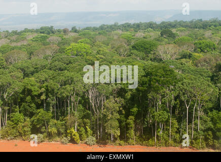Bundesstaat Para, Brasilien. Wald und rote Erde. Stockfoto
