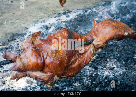 ganzes Schwein am Spieß gegrillt zubereitet Stockfoto