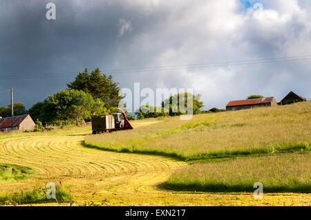 Ardara, County Donegal, Irland. 15. Juli 2015. Das Wetter. Ein Landwirt nutzt sonniges Wetter, um Silage Grass Futter für das Vieh nach einer langen Regenperiode in Irland zu ernten. Foto: Credit: Richard Wayman/Alamy Live-Nachrichten Stockfoto