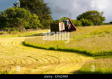 Ardara, County Donegal, Irland. 15. Juli 2015. Das Wetter. Ein Landwirt nutzt sonniges Wetter, um Silage Grass Futter für das Vieh nach einer langen Regenperiode in Irland zu ernten. Foto: Credit: Richard Wayman/Alamy Live-Nachrichten Stockfoto