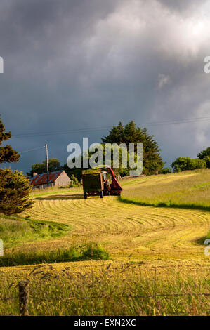 Ardara, County Donegal, Irland. 15. Juli 2015. Das Wetter. Ein Landwirt nutzt sonniges Wetter, um Silage Grass Futter für das Vieh nach einer langen Regenperiode in Irland zu ernten. Foto: Credit: Richard Wayman/Alamy Live-Nachrichten Stockfoto