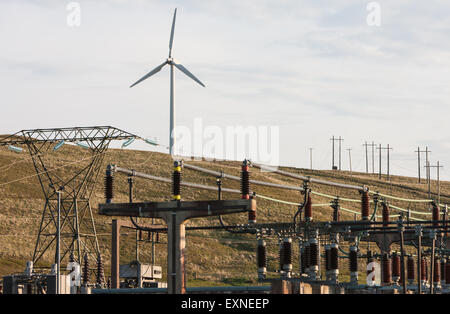 Pylone mit Strom aus Rheidol Wasserkraftwerk und Windkraftanlagen im Windpark Rheidol, Turbine, Power, Powys, Wales Stockfoto