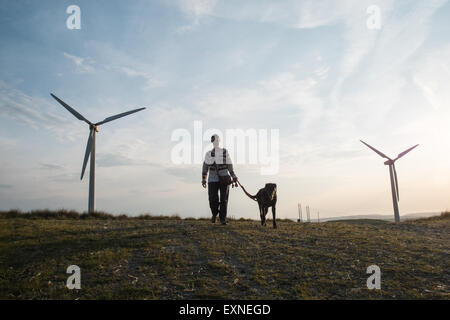 Sundown.Wind Turbinen im Infinis Besitz Rheidol Windpark, 8, 33 m Durchmesser klingen. Wind, Bauernhof, Turbine, power, Wales, Powys, Hund, Stockfoto