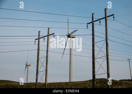 Pylone mit Strom aus Rheidol Wasserkraftwerk und Windkraftanlagen im Windpark Rheidol, Turbine, Power, Powys, Wales Stockfoto