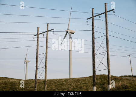 Pylone mit Strom aus Rheidol Wasserkraftwerk und Windkraftanlagen im Windpark Rheidol, Turbine, Power, Powys, Wales Stockfoto