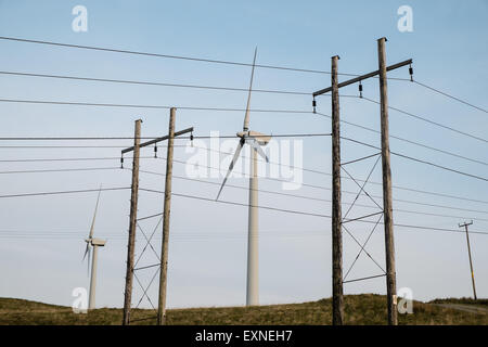 Pylone mit Strom aus Rheidol Wasserkraftwerk und Windkraftanlagen im Windpark Rheidol, Turbine, Power, Powys, Wales Stockfoto