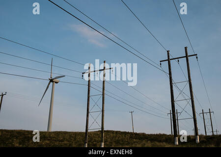 Pylone mit Strom aus Rheidol Wasserkraftwerk und Windkraftanlagen im Windpark Rheidol, Turbine, Power, Powys, Wales Stockfoto