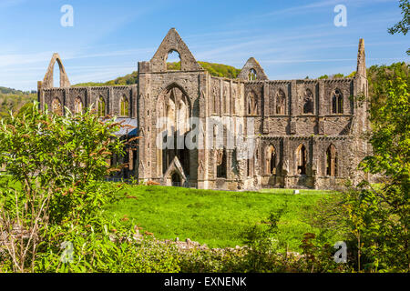 Die Ruinen von Tintern Abbey eine mittelalterliche Zisterzienserkloster, Monmouthshire, Wales, Vereinigtes Königreich, Europa. Stockfoto