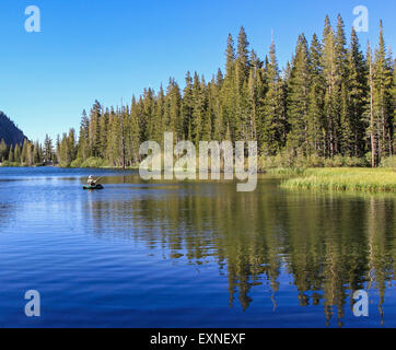 Fischer in Lake Mamie in Mammoth Lakes Bassin in der östlichen Sierra in Nordkalifornien Stockfoto