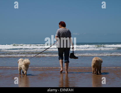 Frau und Hunde Paddeln im Meer in Woolacombe, Devon, UK Stockfoto
