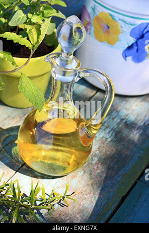 Wunderschönes Arrangement des Öls in Vintage-Flasche und Kräuter wachsen in Blumentöpfen auf rustikalen Holztisch. Stockfoto