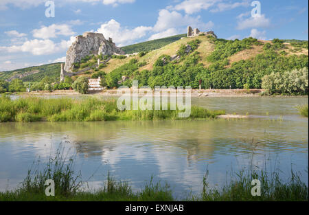 Die Ruinen der Burg Devin in der Nähe von Bratislava über die Donau. Stockfoto