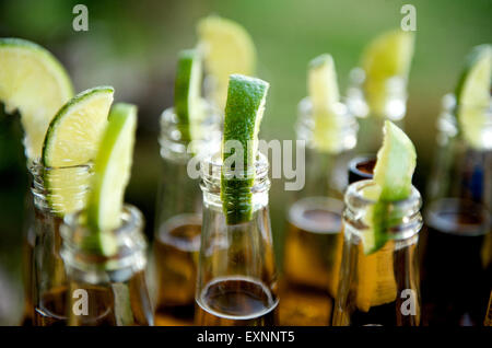 Schließen Sie herauf Bild von mehrere Bierflaschen mit Limetten eingefügt Stockfoto