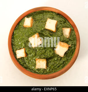 Palak Paneer Stockfoto