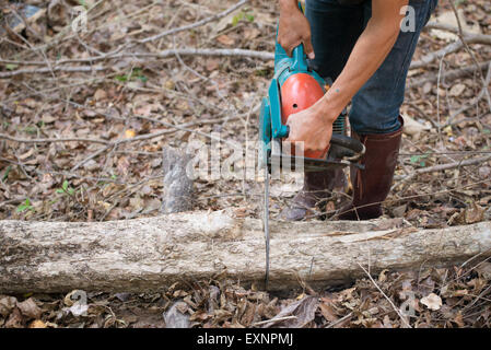 Man schneidet das Protokoll aus Holz mit Kettensäge Stockfoto