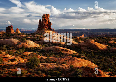 Abendlicht am Sandstein-Formationen mit Blick auf die Courthouse Towers im Arches National Park in Utah. Stockfoto